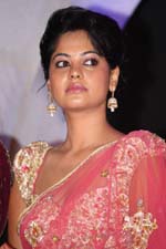 bindu-madhavi-hot-pink-saree-freshga (1)